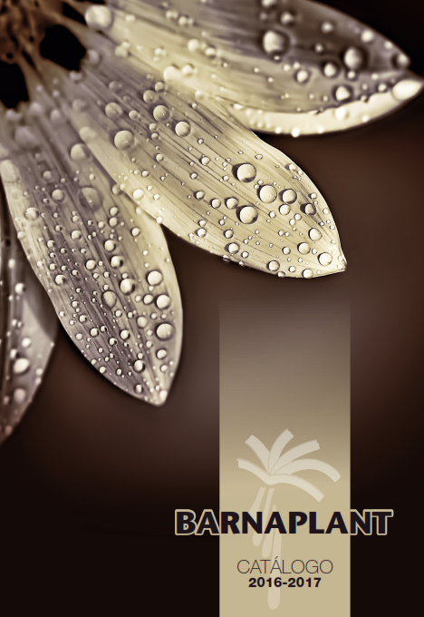 Portada_Catalogo (11)