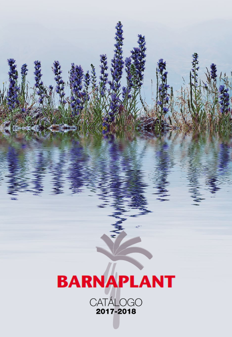 Portada_Catalogo (12)