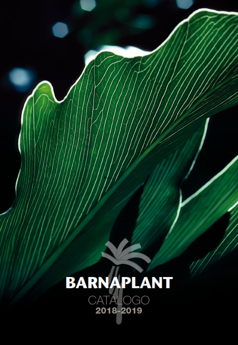 Portada_Catalogo (13)