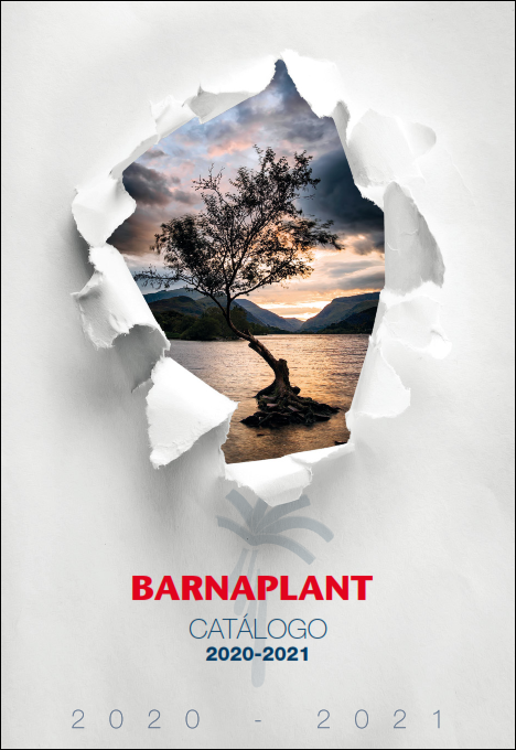 Portada_Catalogo (15)