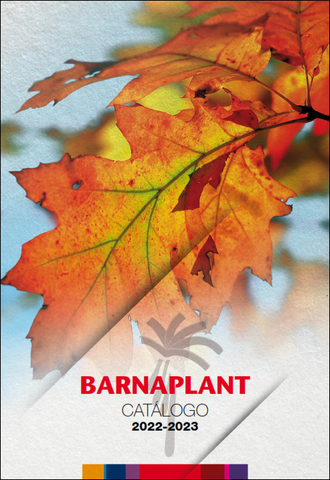 Portada_Catalogo (17)