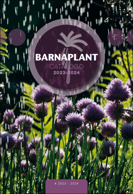 Portada_Catalogo (18)