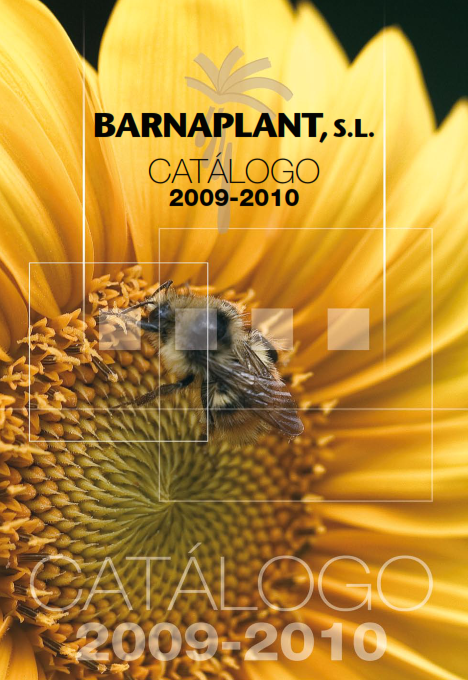 Portada_Catalogo (4)