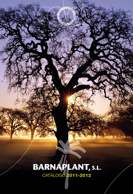 Portada_Catalogo (6)